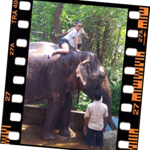 elefante(5)